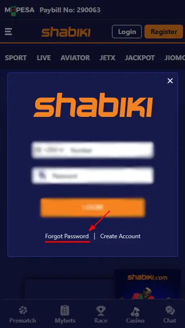 shabiki-restore-access